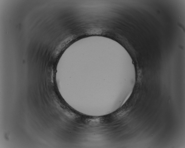 X0000103300068200809261323