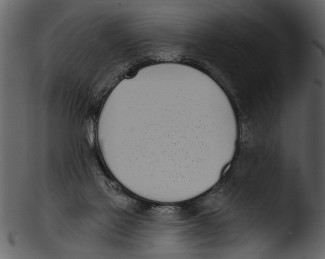 X0000103300069200809261323