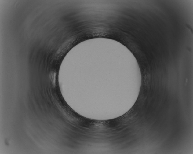 X0000103300070200809261323
