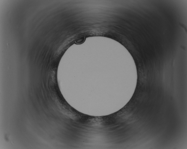 X0000103300071200809261323