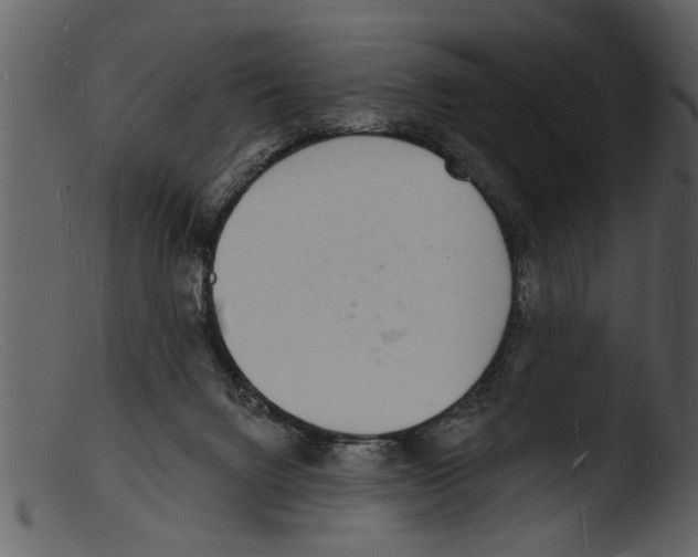 X0000103300072200809261323