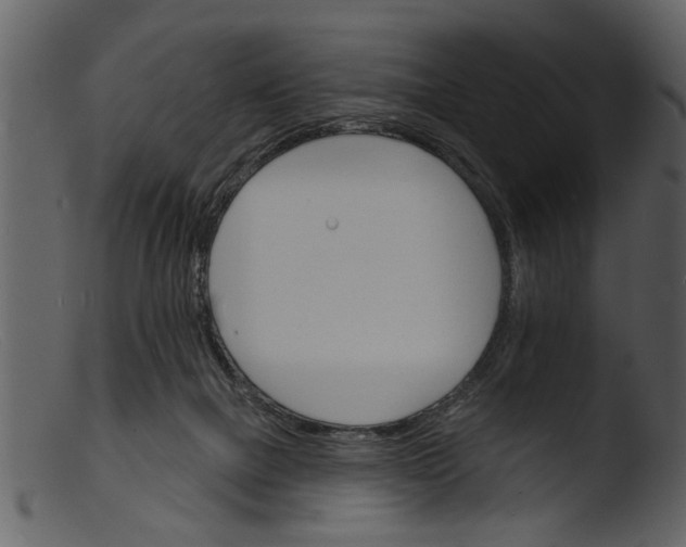 X0000103300073200809261323