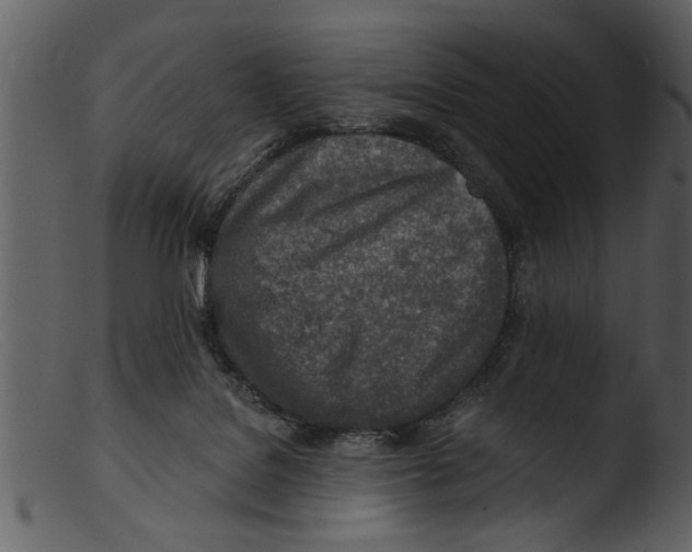 X0000103300076200809261323