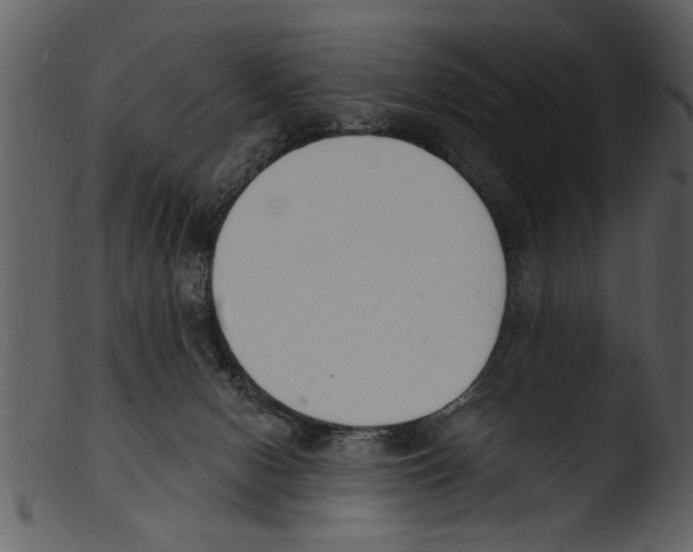 X0000103300078200809261323