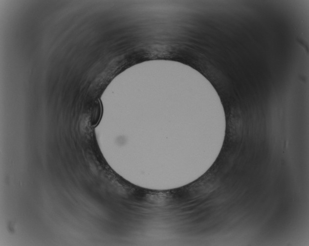 X0000103300079200809261323