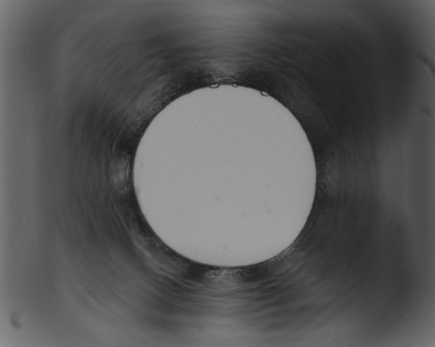X0000103300082200809261323