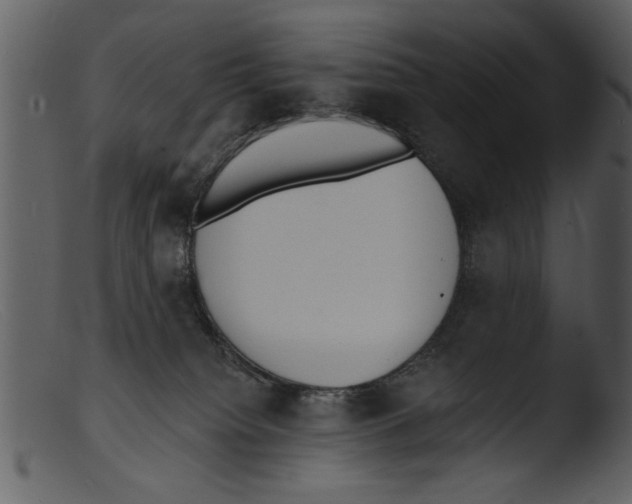 X0000103300084200809261324
