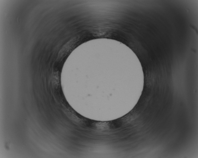 X0000103300085200809261324