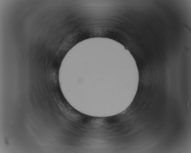 X0000103300086200809261324