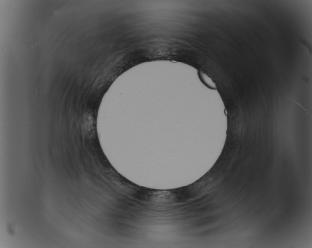 X0000103300087200809261324