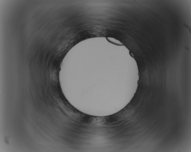 X0000103300088200809261324