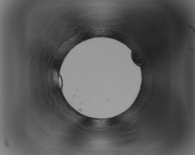 X0000103300089200809261324
