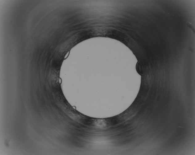 X0000103300091200809261324
