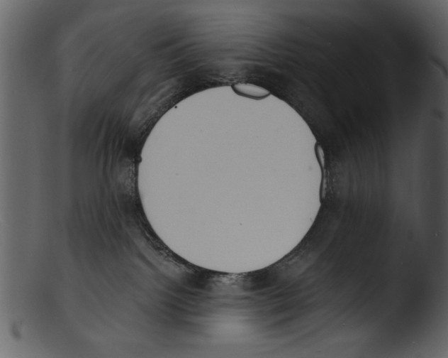 X0000103300092200809261324