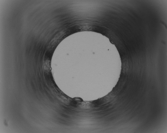 X0000103300093200809261324