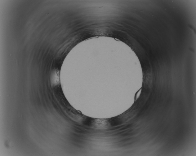 X0000103300095200809261324
