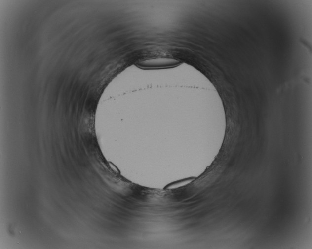 X0000103300096200809261324