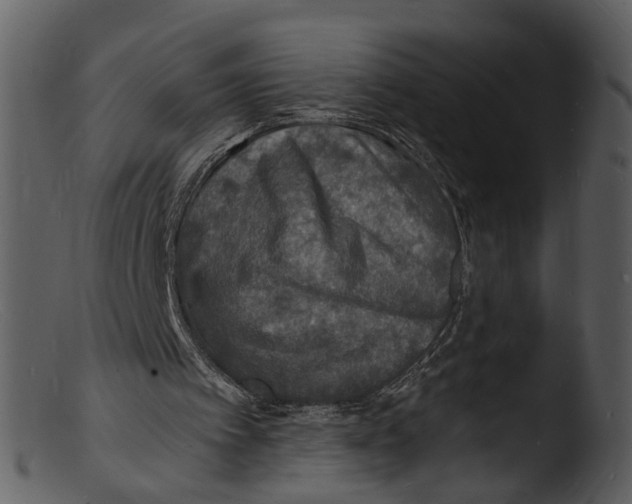 X0000103300097200809261323