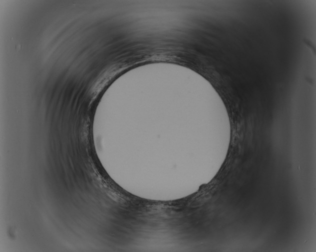 X0000103300098200809261323