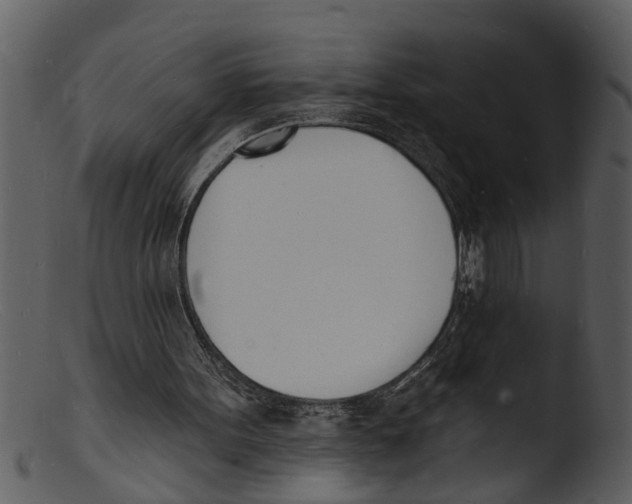 X0000103300099200809261323