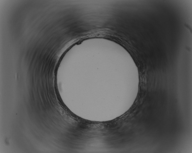 X0000103300100200809261323