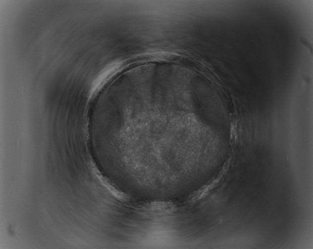X0000103300101200809261323