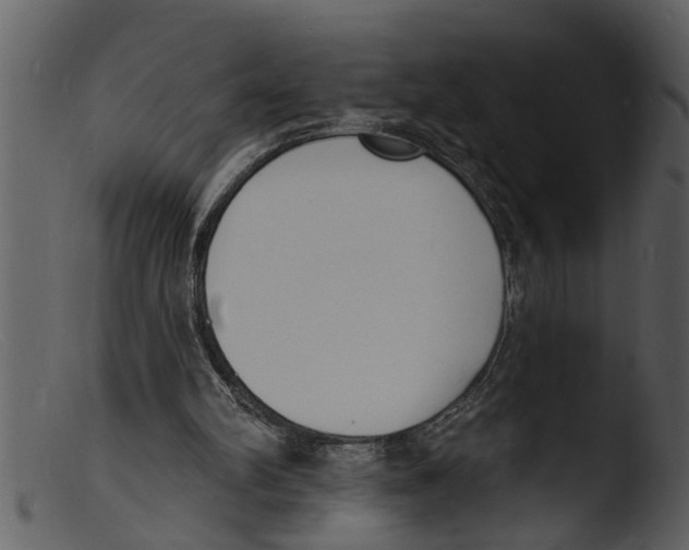X0000103300102200809261323