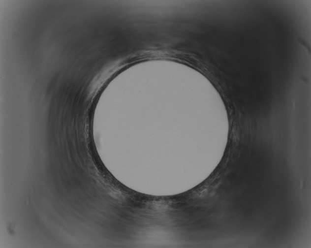 X0000103300103200809261323
