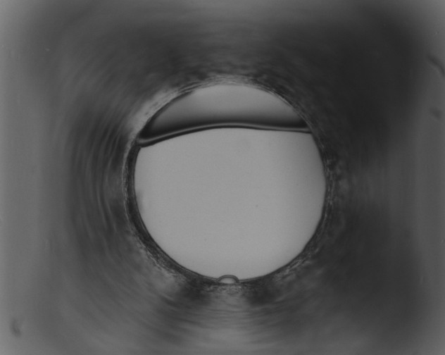 X0000103300104200809261323
