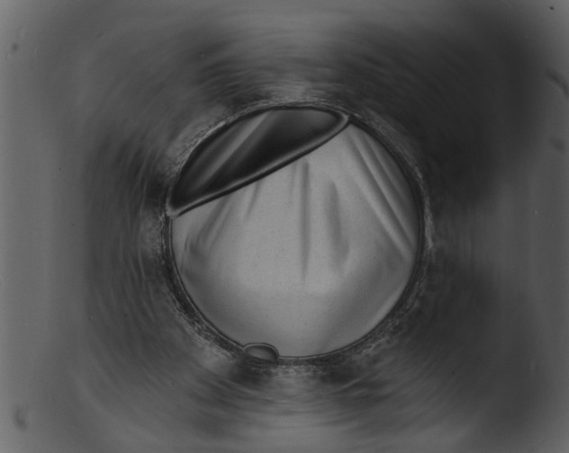 X0000103300105200809261323