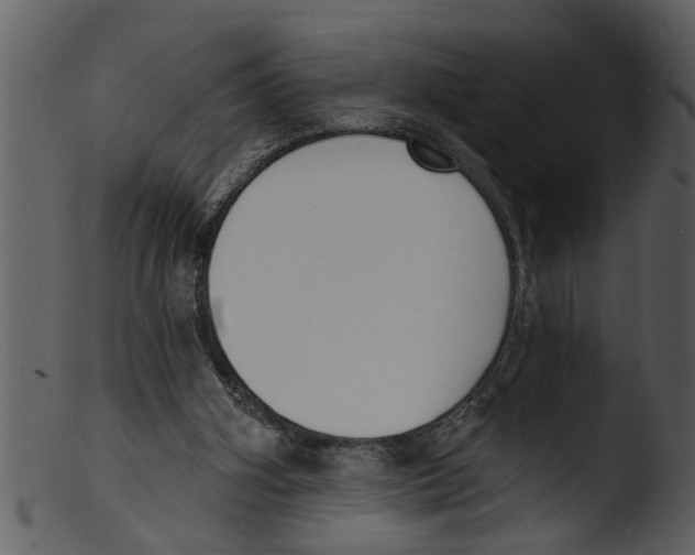 X0000103300106200809261323