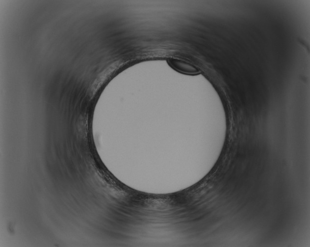 X0000103300107200809261323