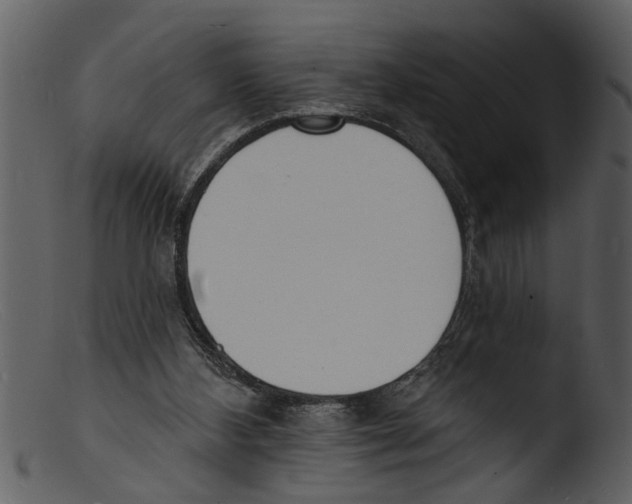 X0000103300108200809261323