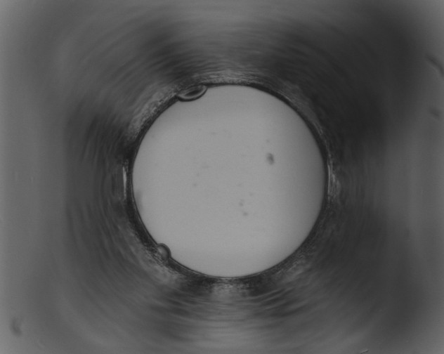 X0000103300109200809261323