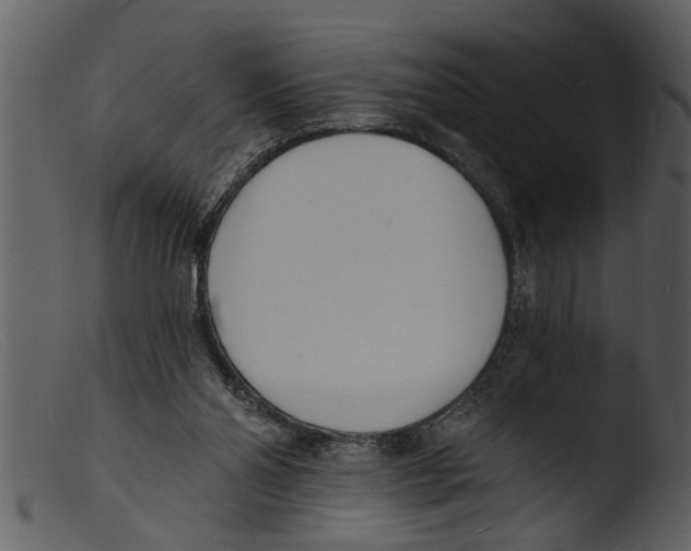 X0000103300110200809261323