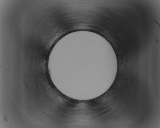 X0000103300111200809261322