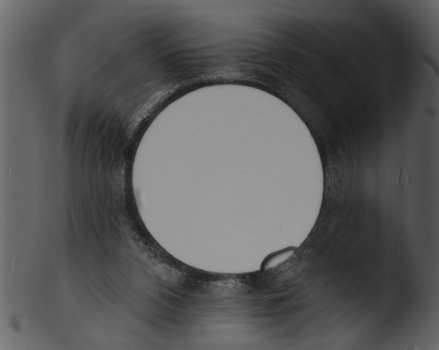 X0000103300112200809261322