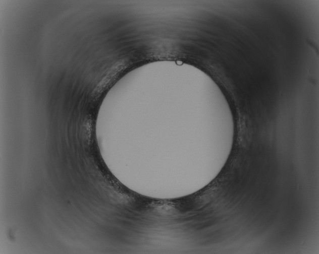X0000103300113200809261322