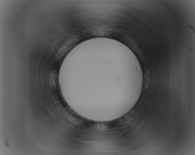 X0000103300114200809261322