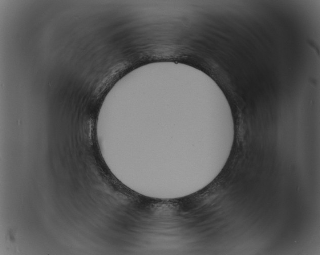 X0000103300115200809261322