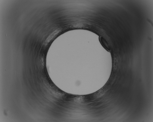X0000103300116200809261322
