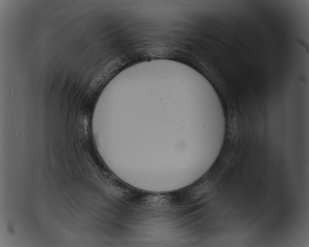X0000103300117200809261322