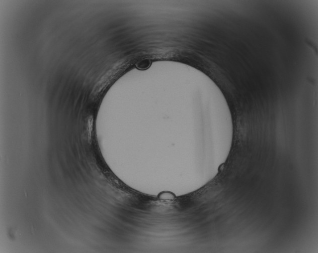 X0000103300118200809261322