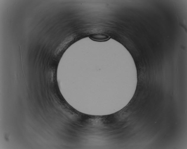 X0000103300120200809261322