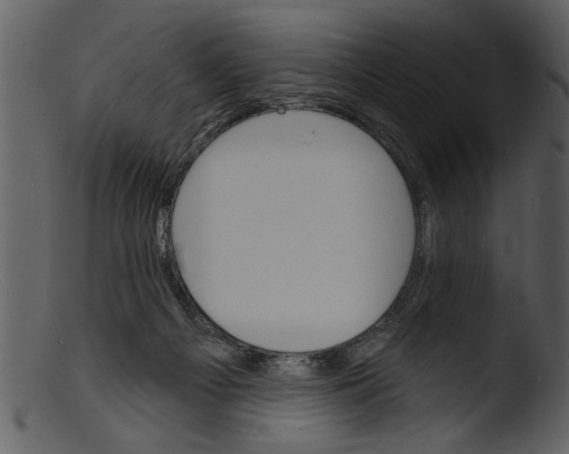 X0000103300121200809261322