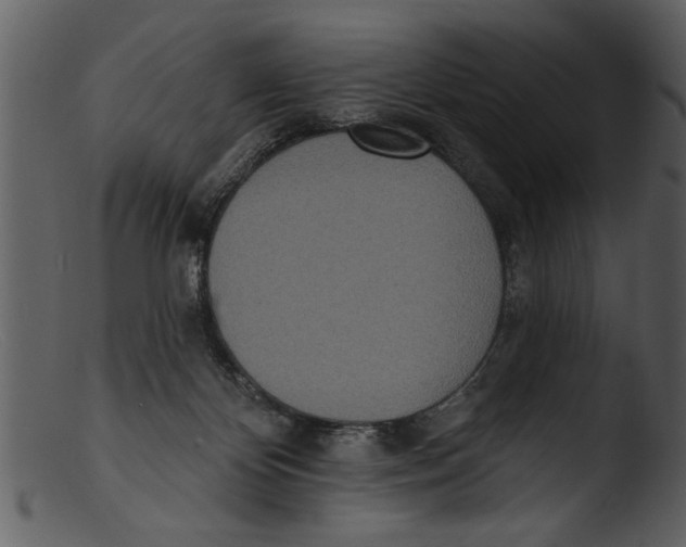 X0000103300124200809261322