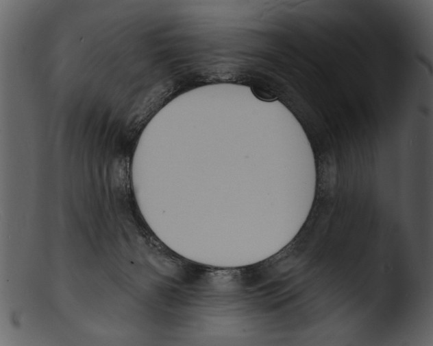 X0000103300126200809261322