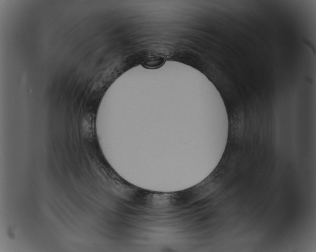 X0000103300134200809261322