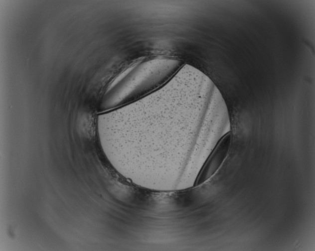X0000103300136200809261322