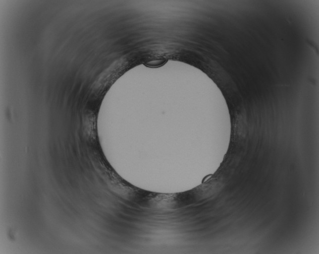 X0000103300138200809261322